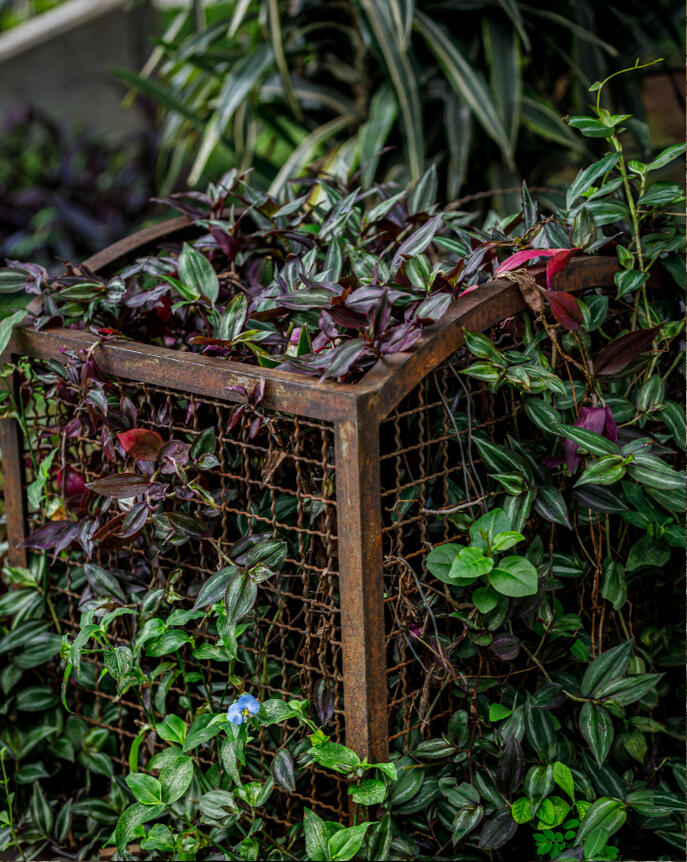 A invenção da vida