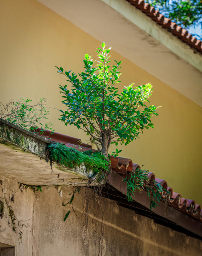 Desafiando a gravidade