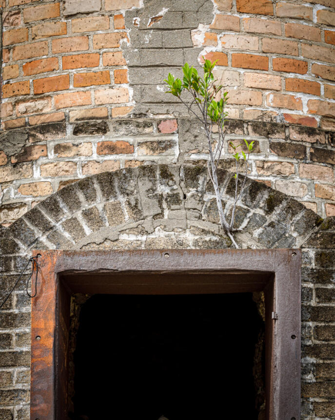 A fornalha que virou jardim