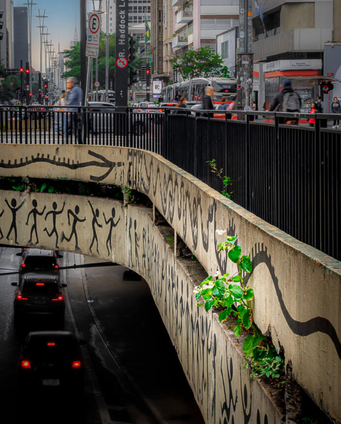 A Dança da sobrevivência