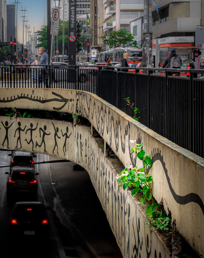 A dança da sobrevivência