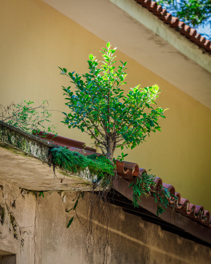 #desafiandoagravidade