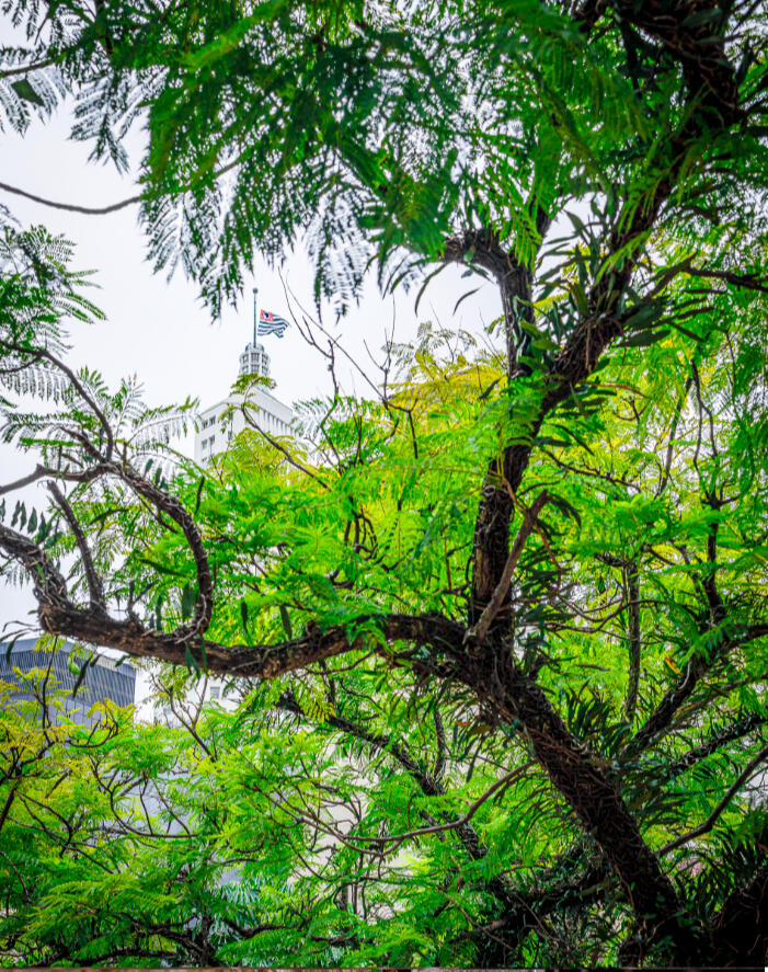 PQ ESTADUAL DO CRISTALINO #parqueestadualdocristalino